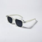 Wayfarer Sunglasses