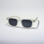 Wayfarer Sunglasses